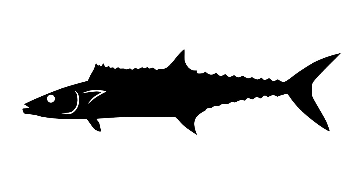 King Mackerel Decal